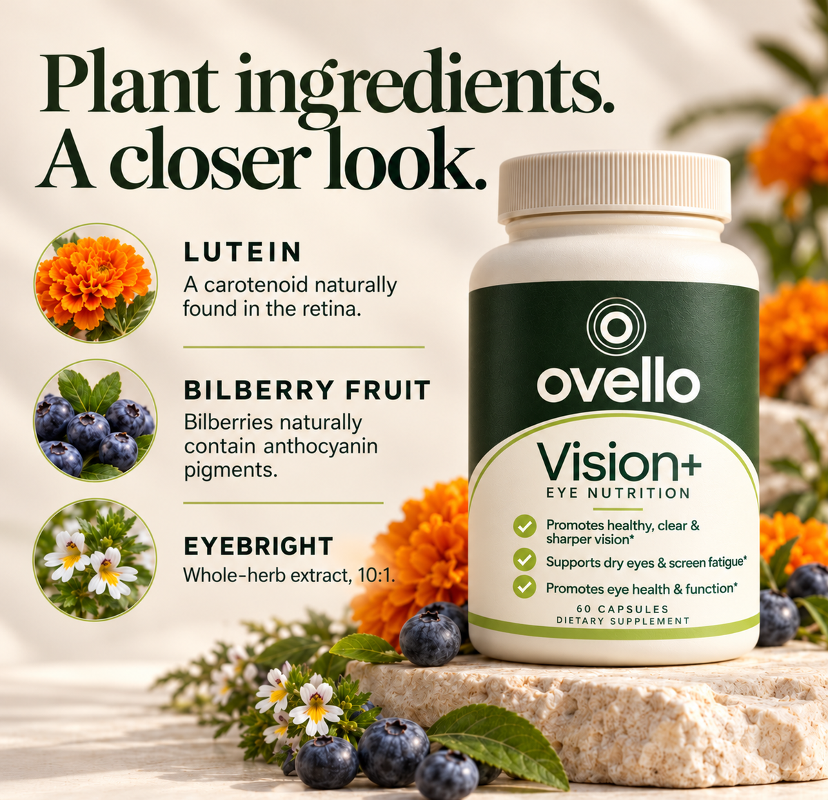 Ovello Vision+