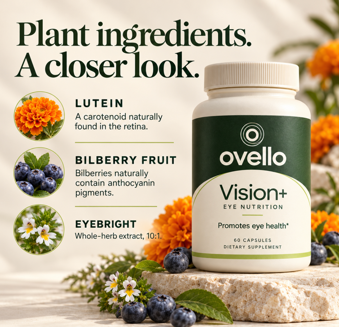 Ovello Vision+