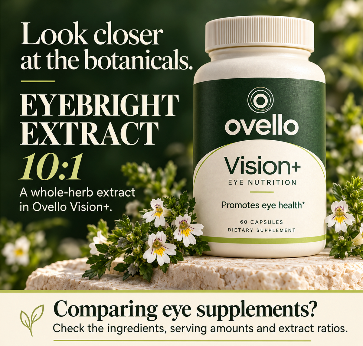 Ovello Vision+