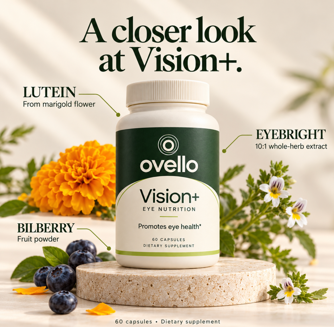 Ovello Vision+